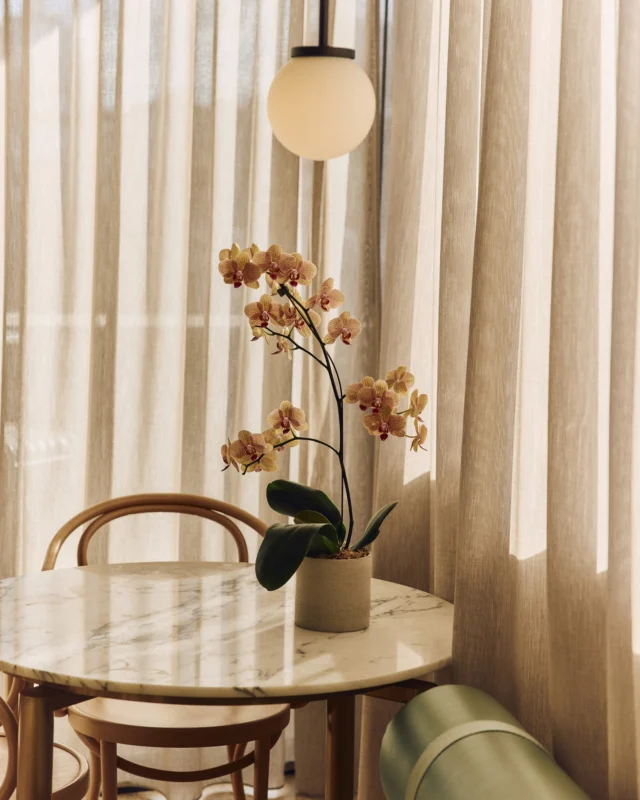 Grown on our rooftop, placed with intention. Orchids from our greenhouse bring a living touch of calm to every suite, an expression of The Calile's quiet care, home grown by our resident gardeners Future Wild. #TheCalile #JamesSt #Brisbane