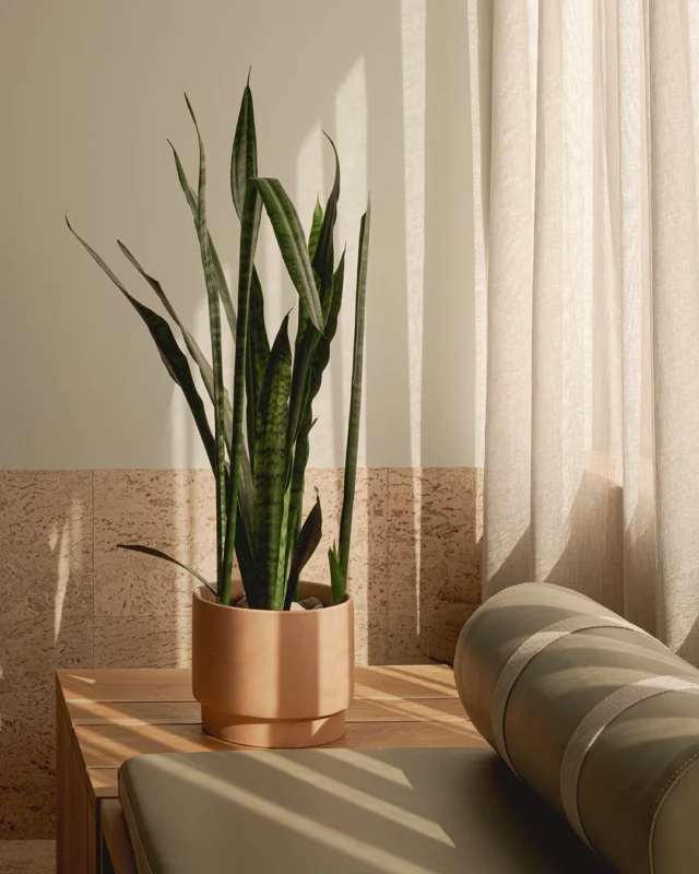 No matter the room or suite you’re staying in, our daybeds are a signature detail. Go on then: recline, relax, and relish in your surroundings.