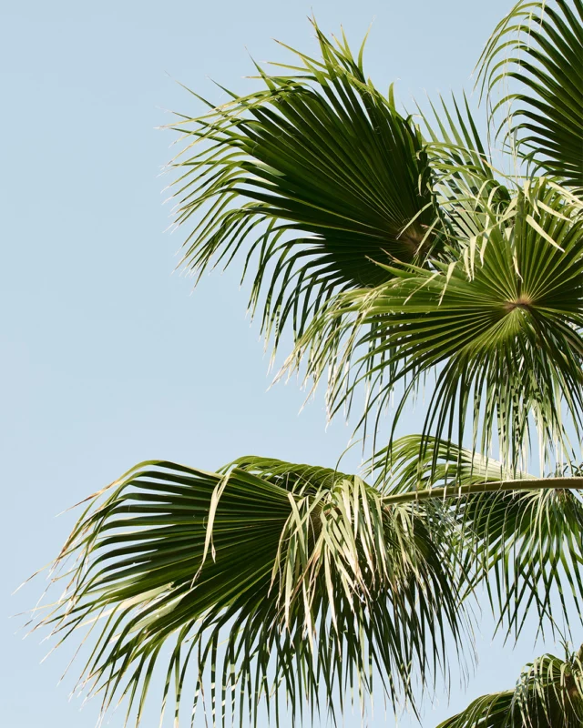 The view responsible for most out-of-office emails this week.