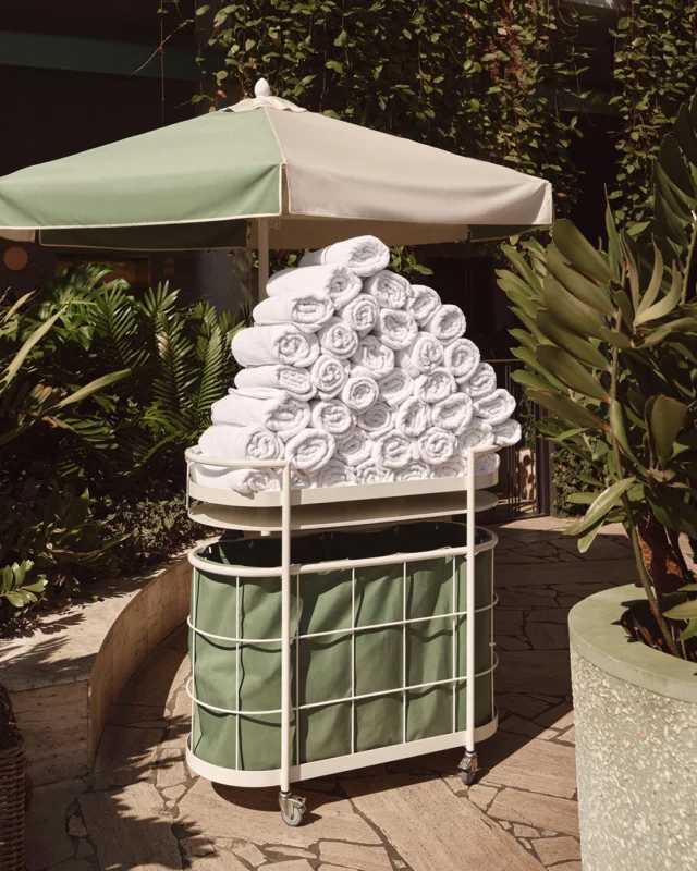 When you see this, you know it’s going to be a good day.