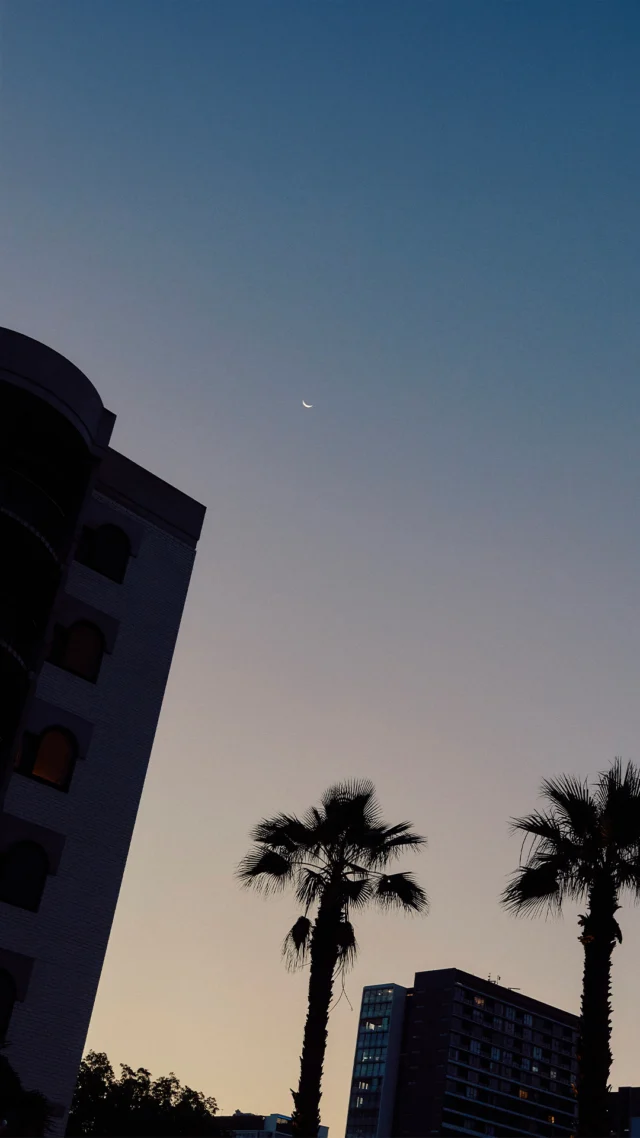 Rooftop Harvest: The rooftop garden has had a generous season, so we turned to our neighbours, the chefs, sommeliers and tastemakers of the precinct, to help us share it.

For one night only, Meet the Masters transforms Ada Lane into an alfresco dining room. A long table beneath subtropical trees and a menu built from what’s been growing above the hotel.

Sea Forest joins us too, bringing produce grown with their innovative Seafeed based on Asparagopsis, a native seaweed cultivated by Sea Forest shown to reduce methane emissions in livestock.

Each course is introduced by the chef or sommelier who created it. An intimate evening of food, flavour, conversation and community.

Seats are limited, and all profits support the Sea Forest Foundation. 

Details via the link in bio.