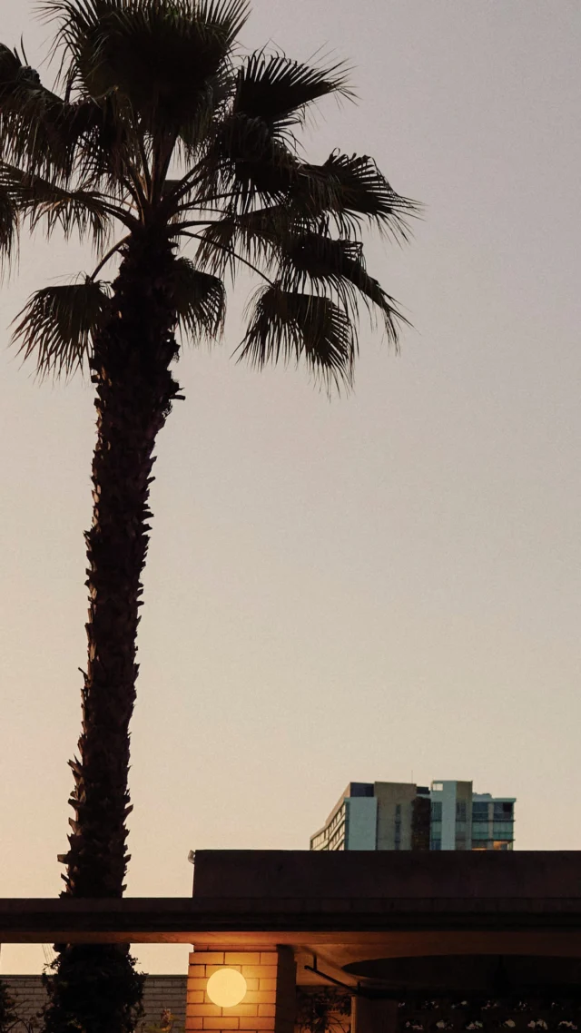 February's Long Playing feature record is Don West's Give Me All Your Love. It’s the soundtrack for slow Sundays, a pause between thoughts, or the simple pleasure of doing nothing at all.

Find it amongst our record collection in the Library on Level One, or stream it wherever you are. Find out more at link in bio.