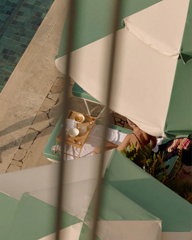 Subject appears comfortable. Having secured both shade and sustenance, she settles in. This position may be held indefinitely.