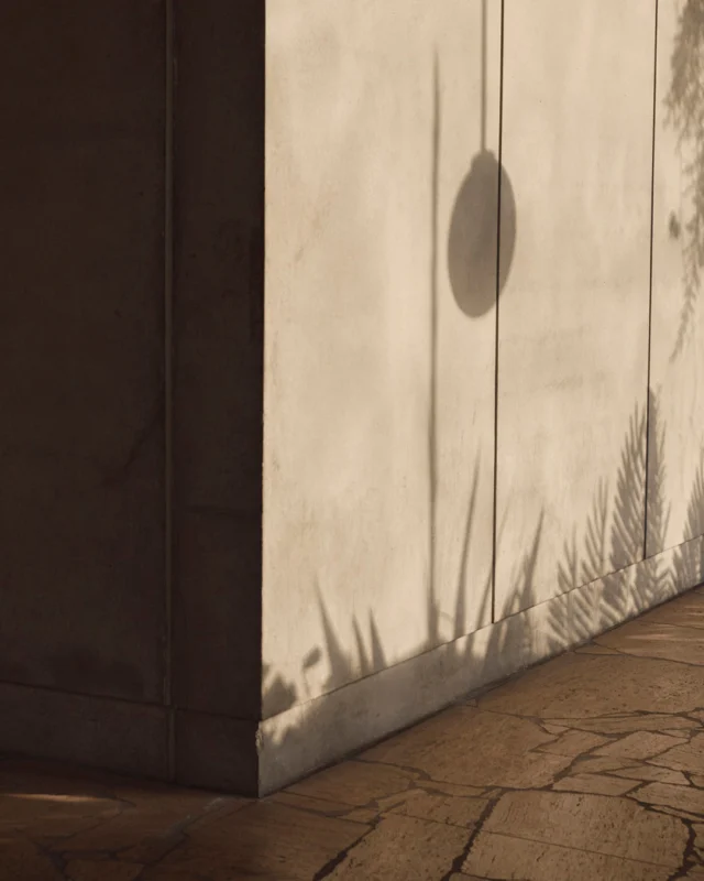 The Calile is a hotel, a weekend state of mind, a study in poolside philosophy, a place to gather, and a place to celebrate. A subtropical holiday in the middle of the city.