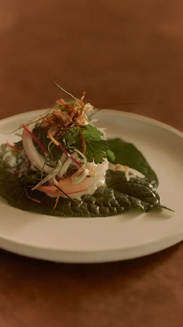 The rooftop garden, in the chefs’ hands. Seven courses shaped by February’s harvest.