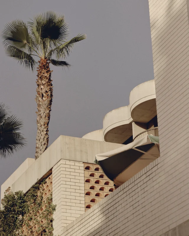 Hellenika is Greek by way of Brisbane, which means the octopus is charcoal-grilled, the dolmades are plentiful, the wine leans Mediterranean, and the terrace feels like summer whether it's April or December.