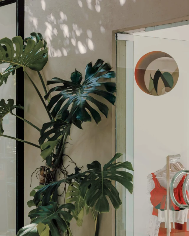 Window shopping is full of temptations.